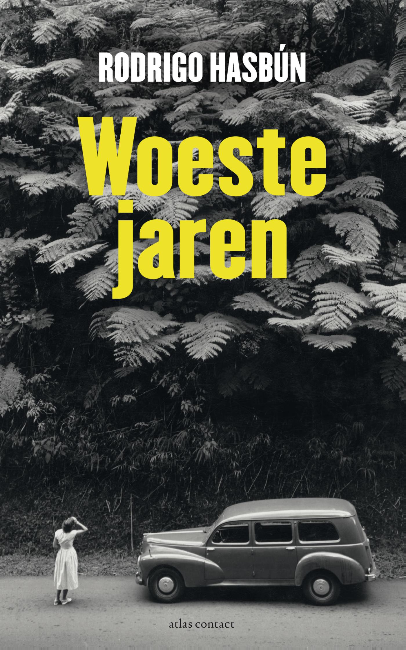 Woeste jaren (Ebook)