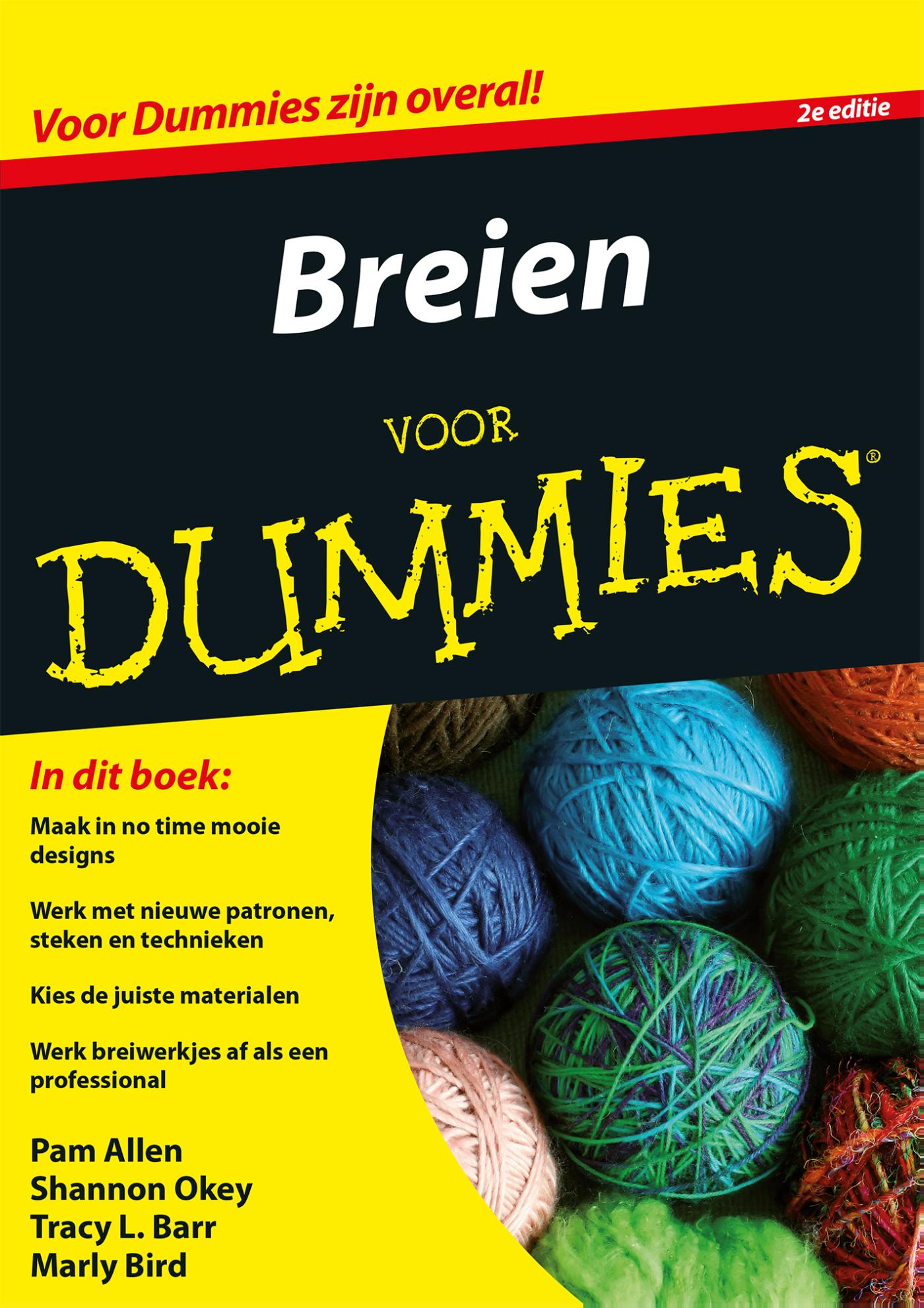 Breien voor dummies (Ebook)