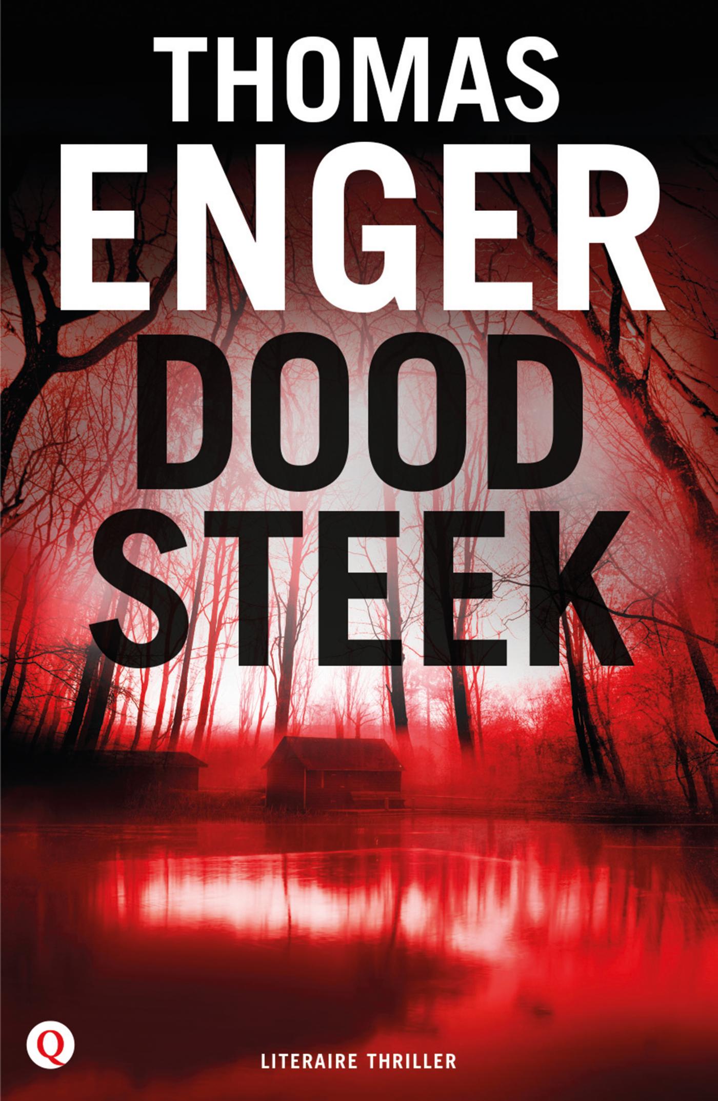 Doodsteek (Ebook)