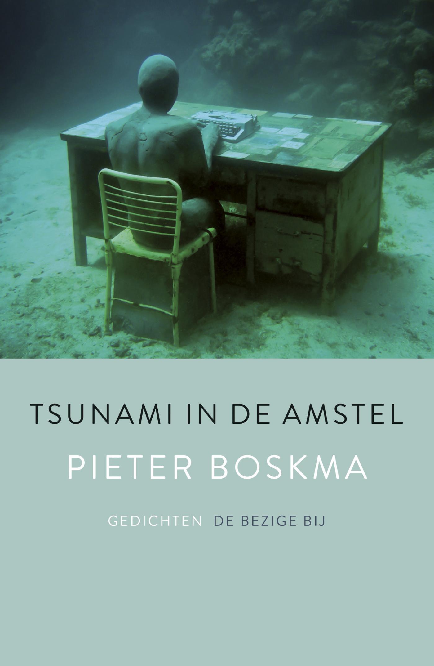 Tsunami in de Amstel (Ebook)