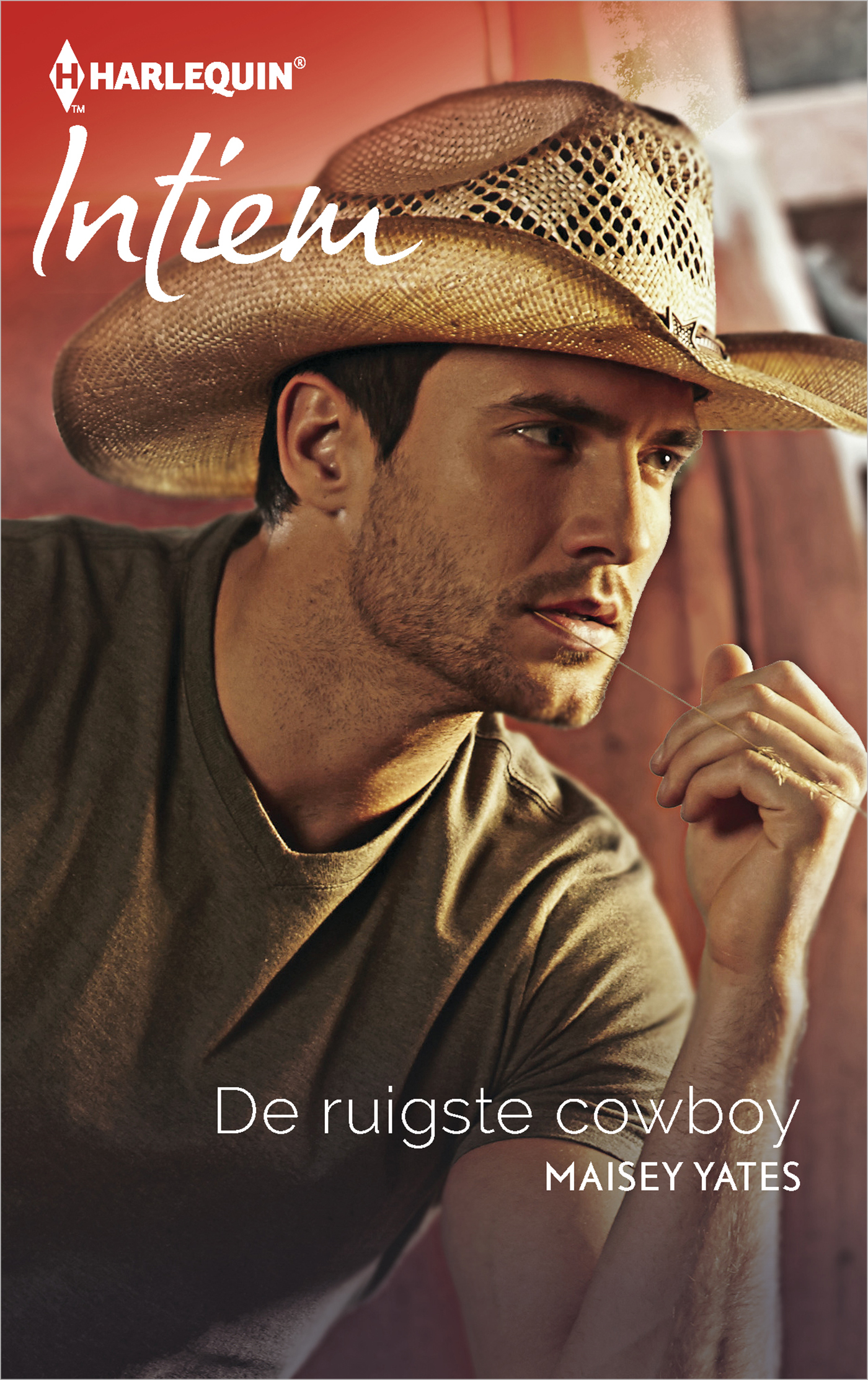 De ruigste cowboy (Ebook)