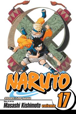 Naruto 17