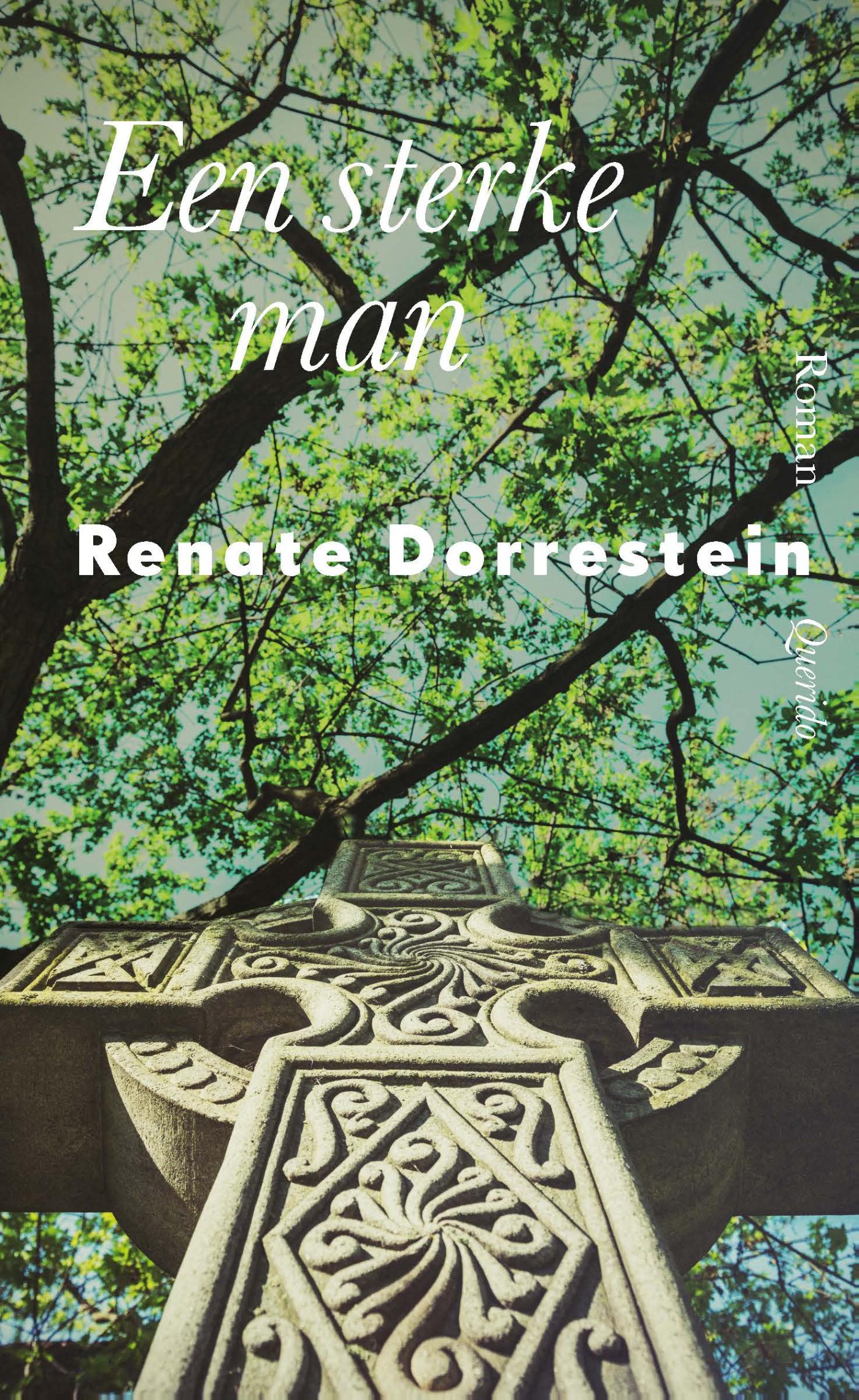 Een sterke man (Ebook)