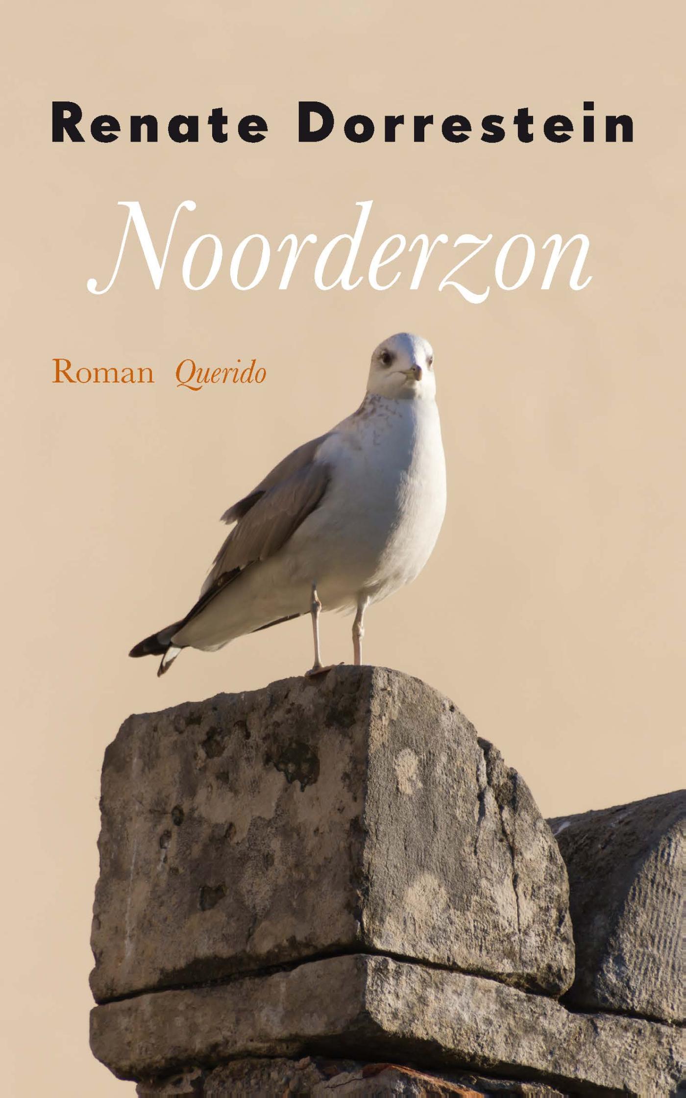 Noorderzon (Ebook)