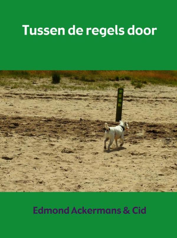 Tussen de regels door