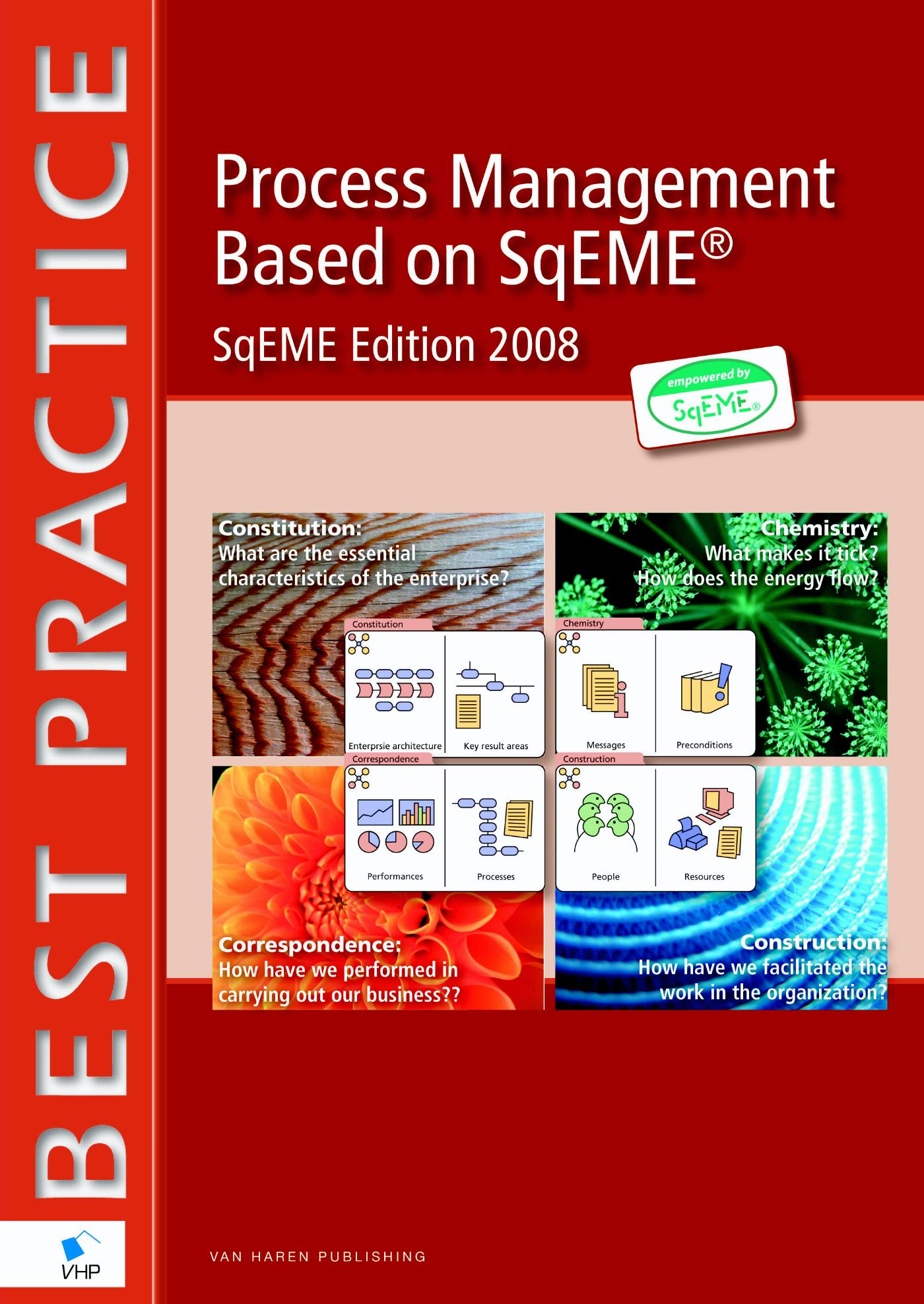 Process Management Based on SqEME® / 2008 (Ebook)