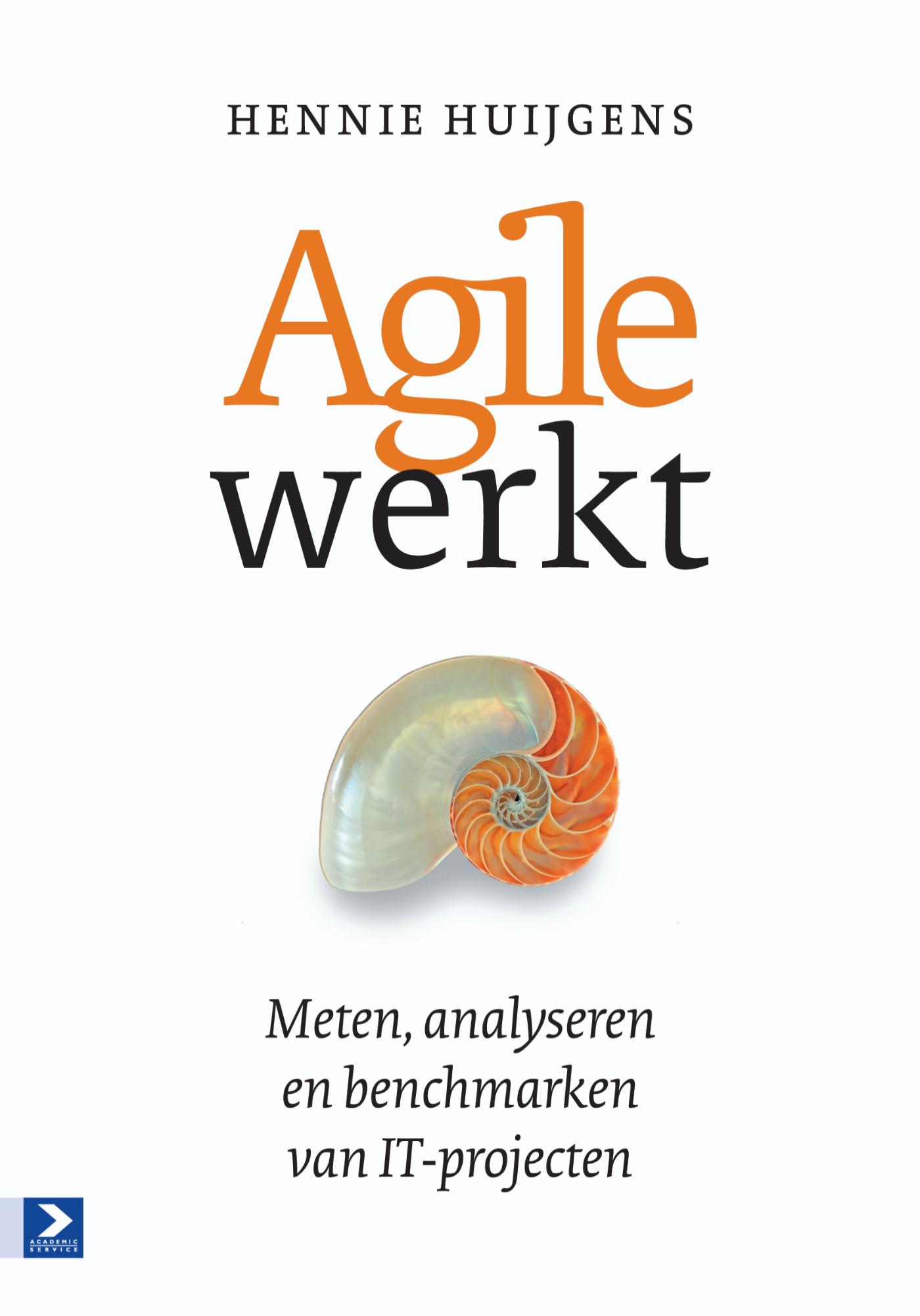 Agile werkt (Ebook)