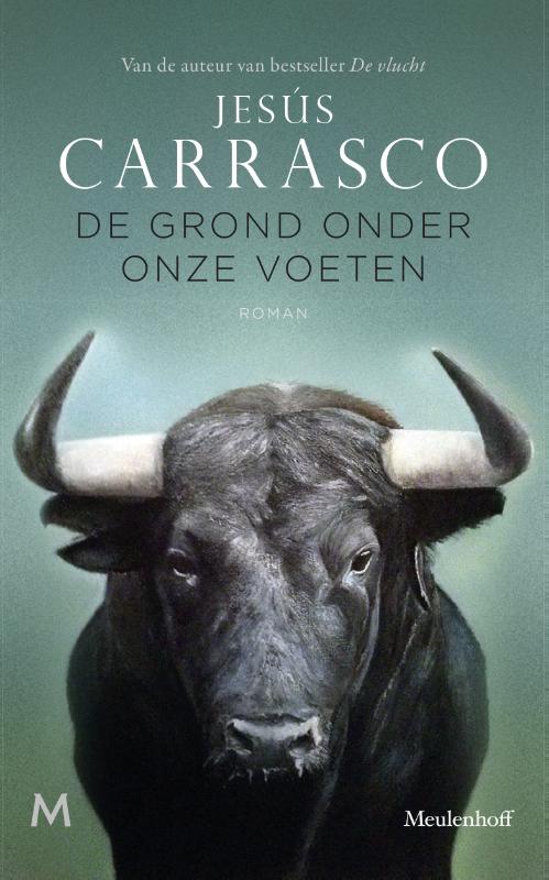 De grond onder onze voeten