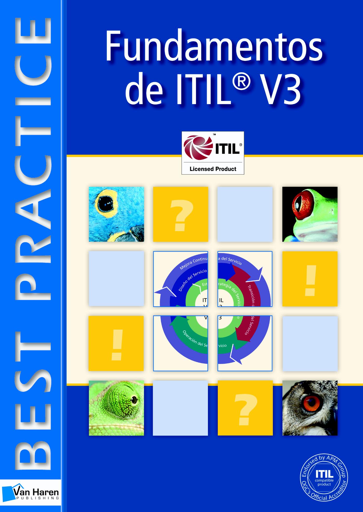 Fundamentos de ITIL ® V3 (Ebook)