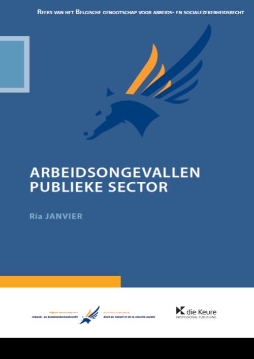 Arbeidsongevallen publieke sector