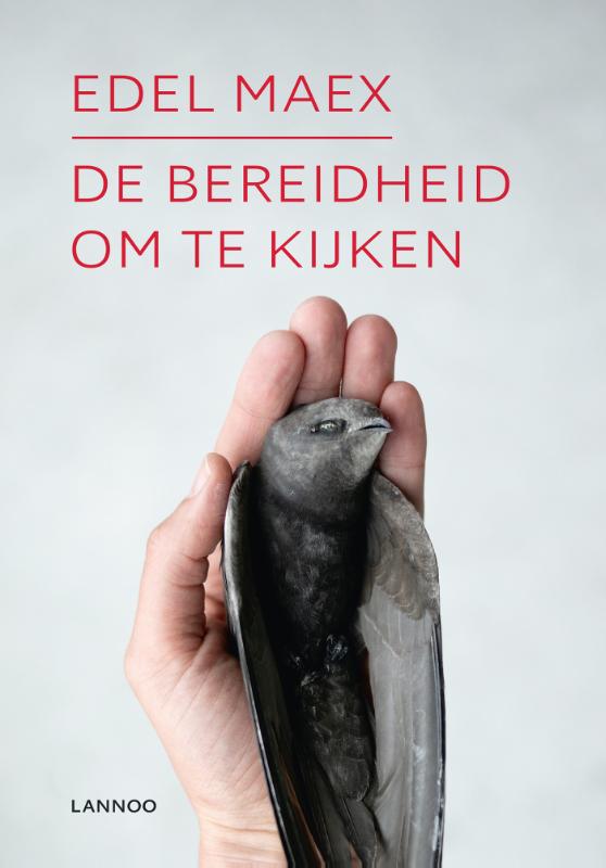 De bereidheid om te kijken