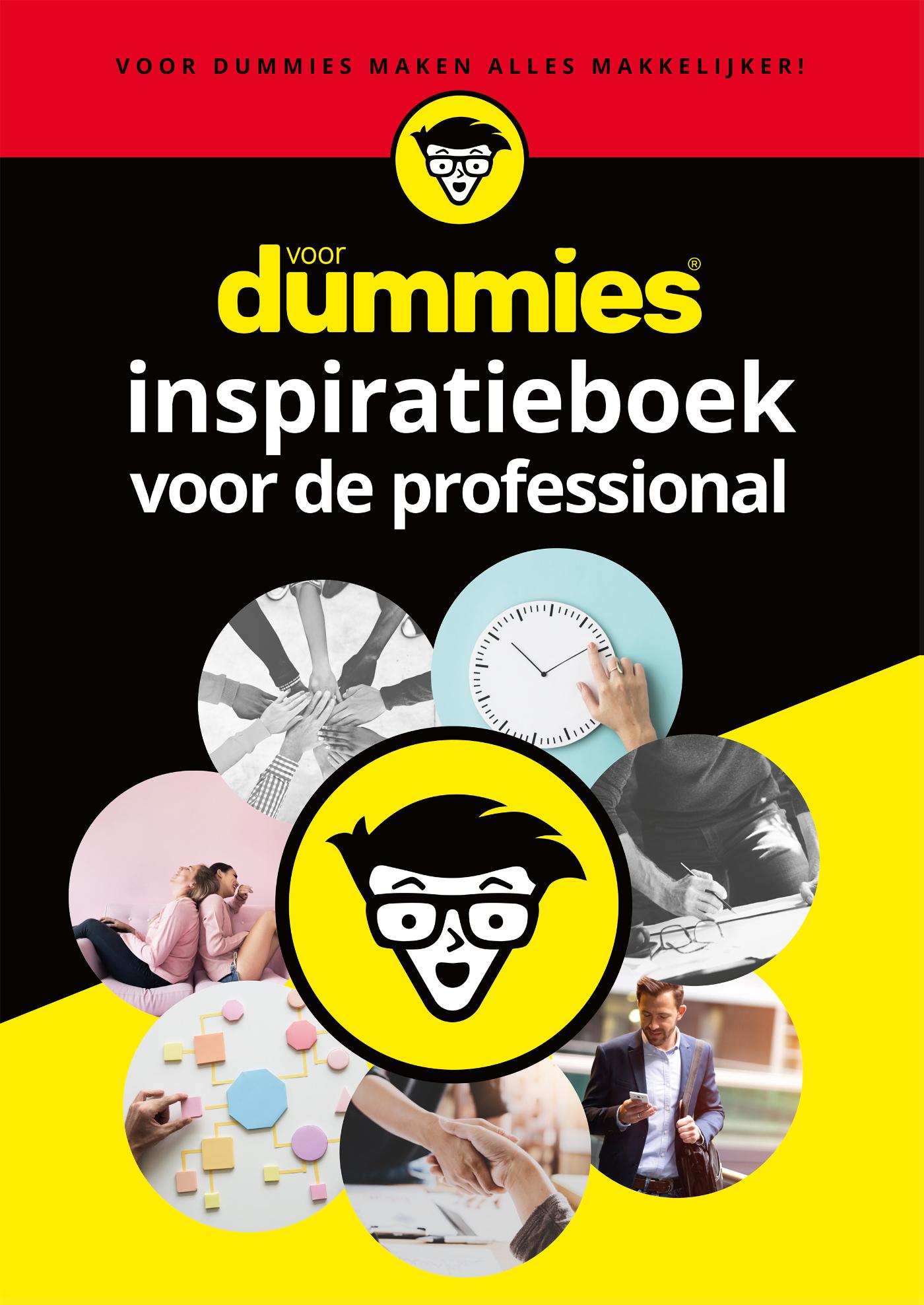 Voor Dummies inspiratieboek voor de professional (Ebook)