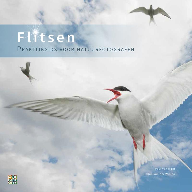 Flitsen