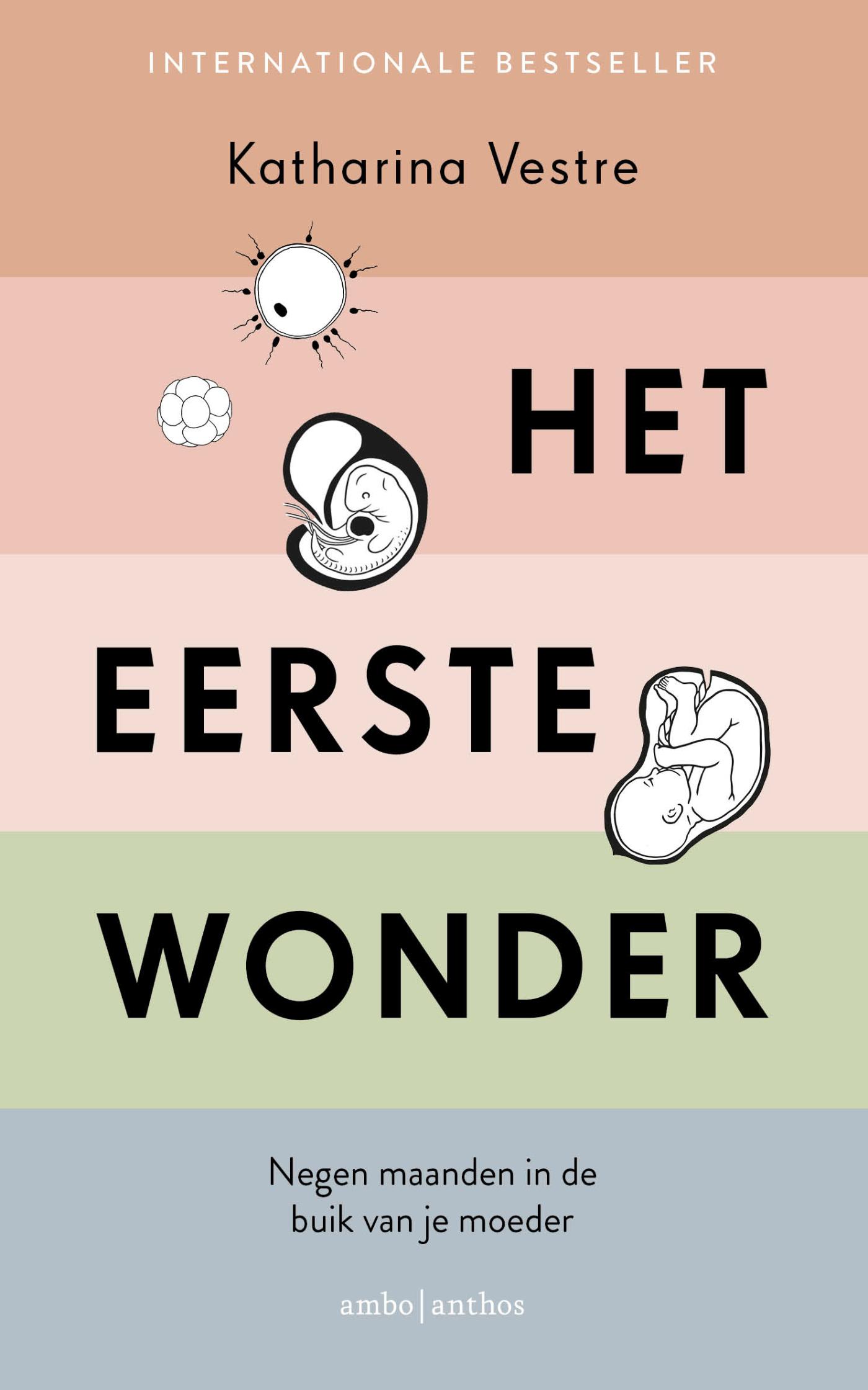 Het eerste wonder (Ebook)