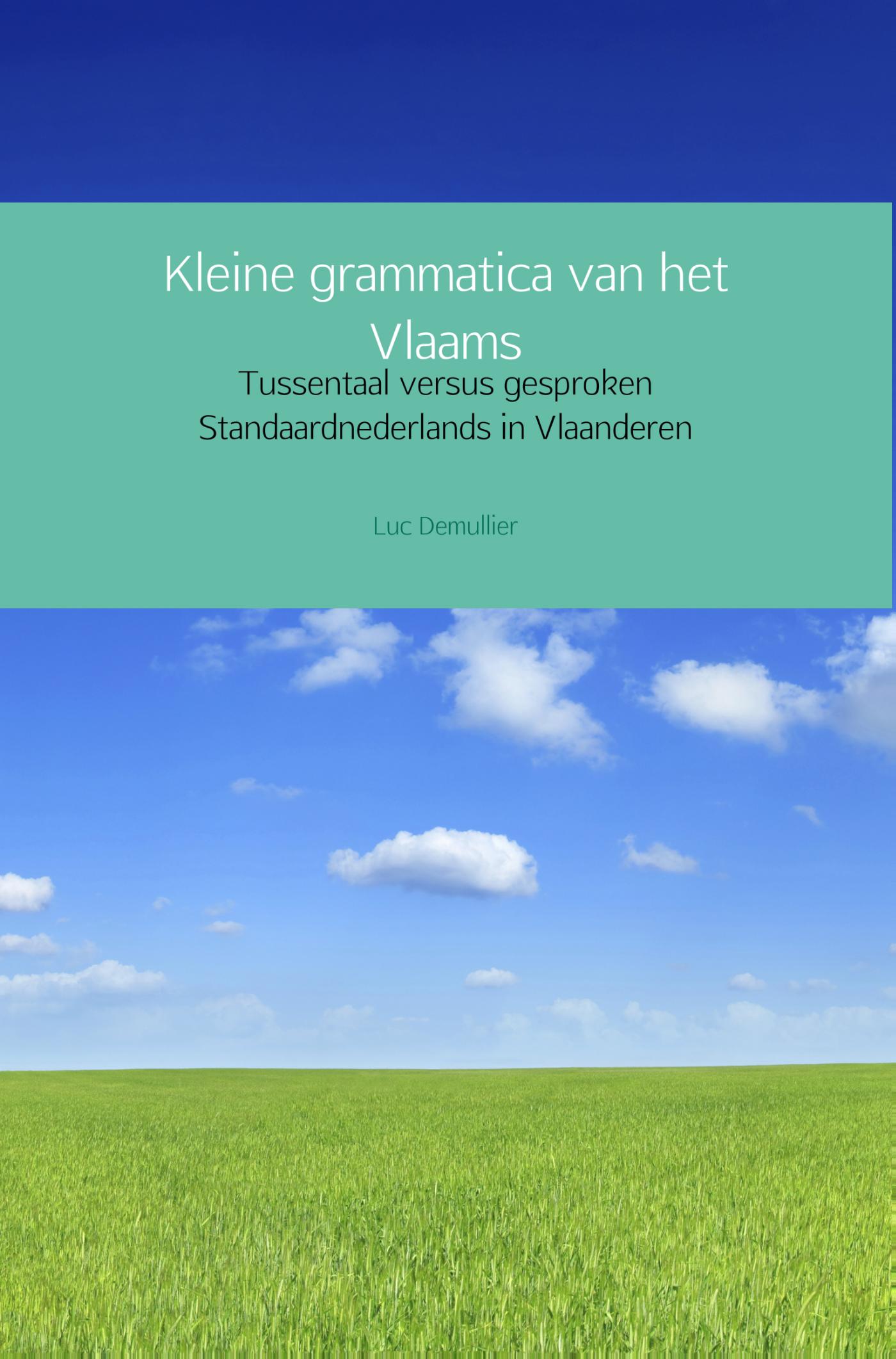 Kleine grammatica van het Vlaams (Ebook)