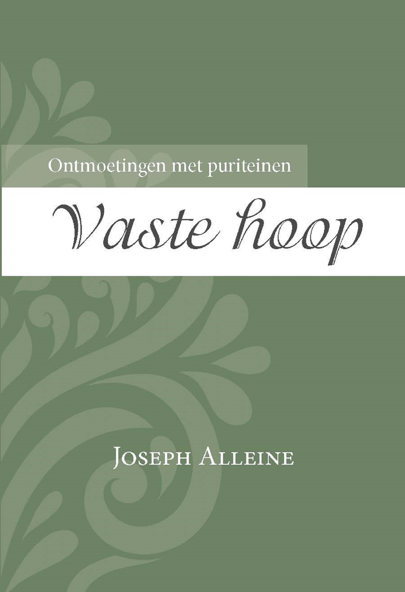 Vaste hoop (Ebook)