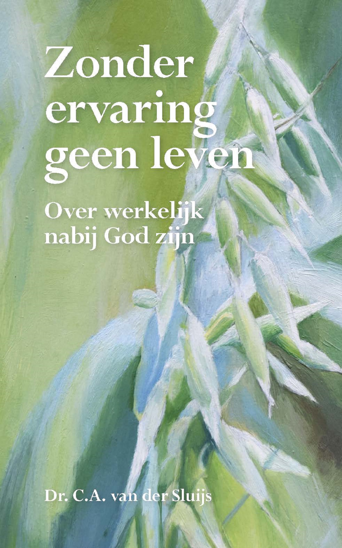 Zonder ervaring geen leven (Ebook)