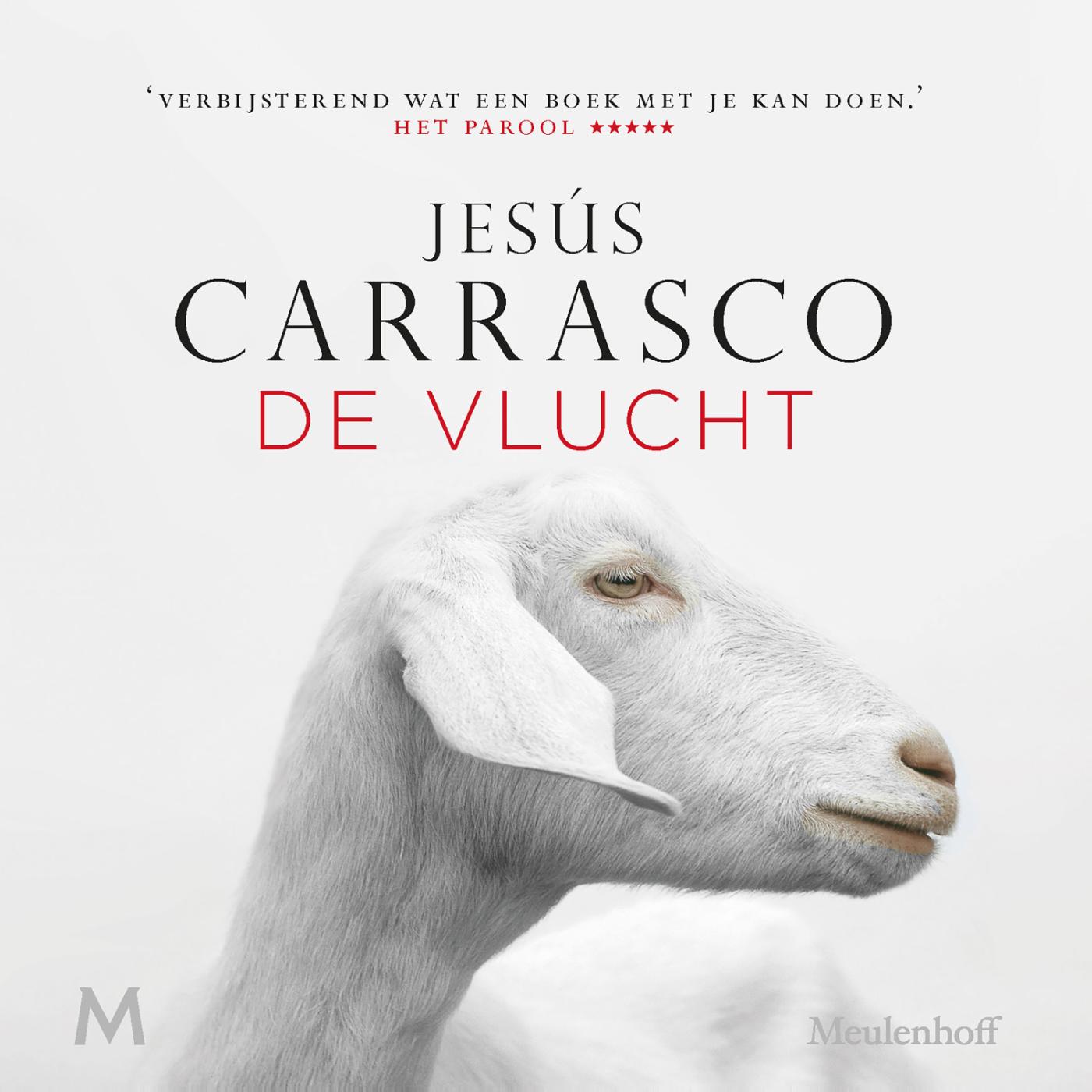 De vlucht (Ebook)