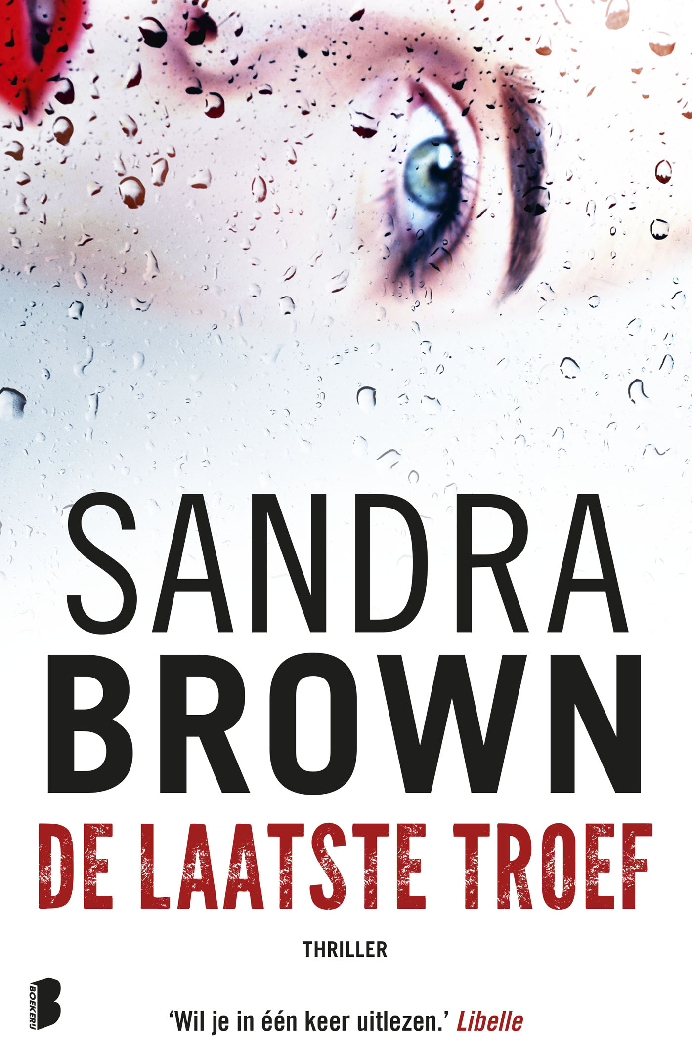 De laatste troef (Ebook)