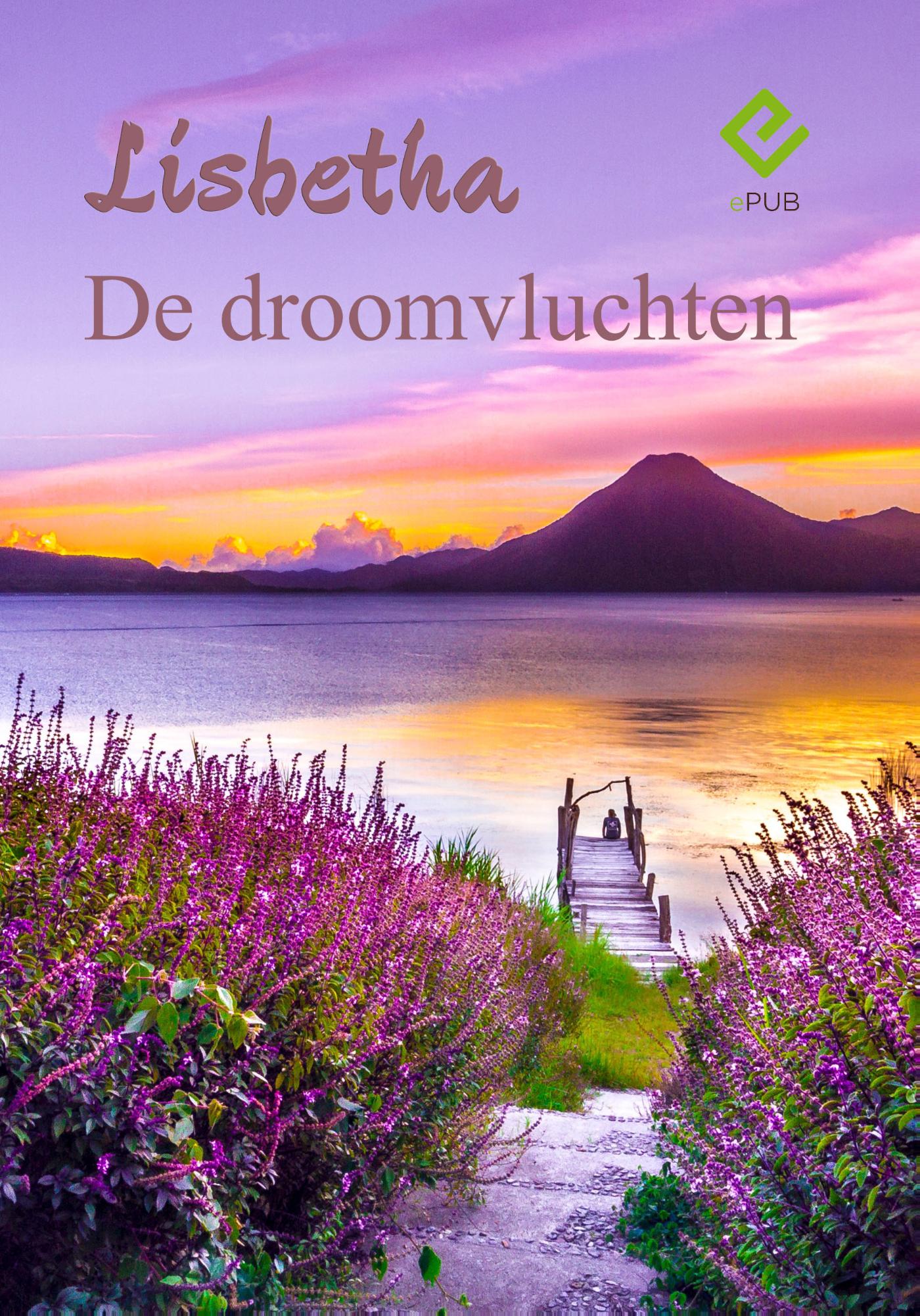 De droomvluchten (Ebook)