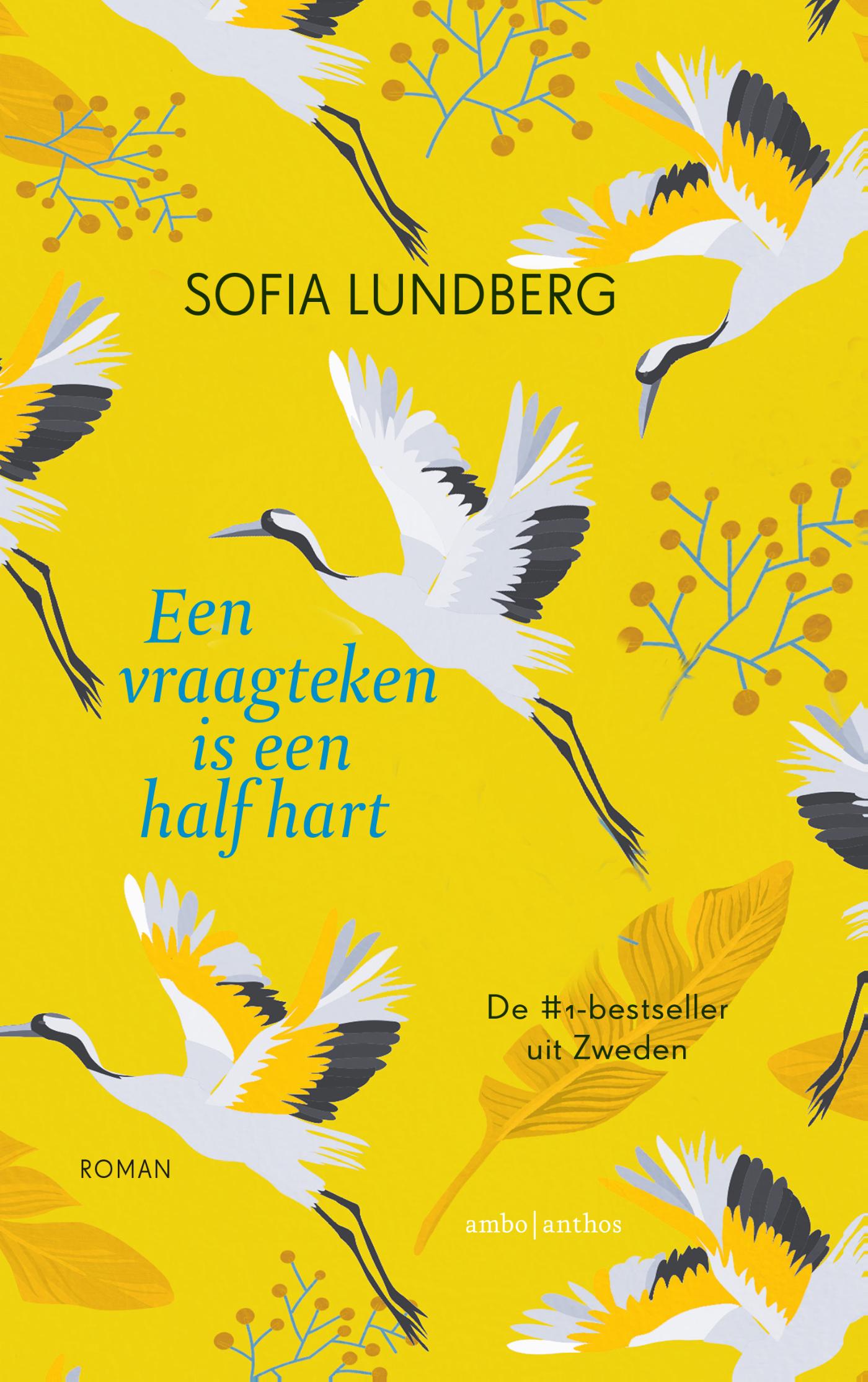 Een vraagteken is een half hart (Ebook)