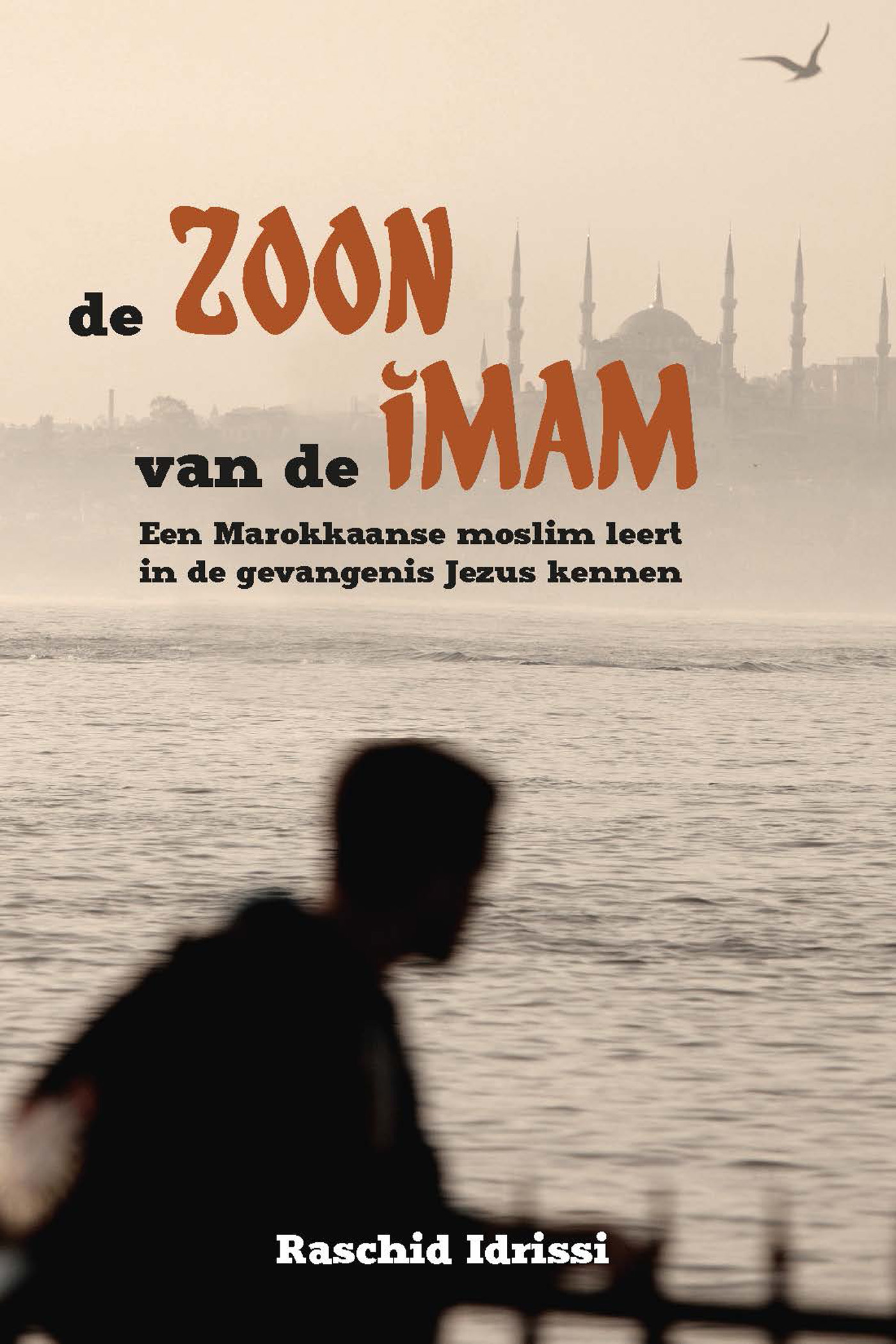 De zoon van de imam (Ebook)