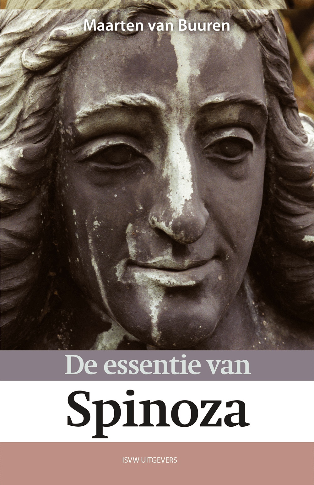 De essentie van Spinoza (Ebook)