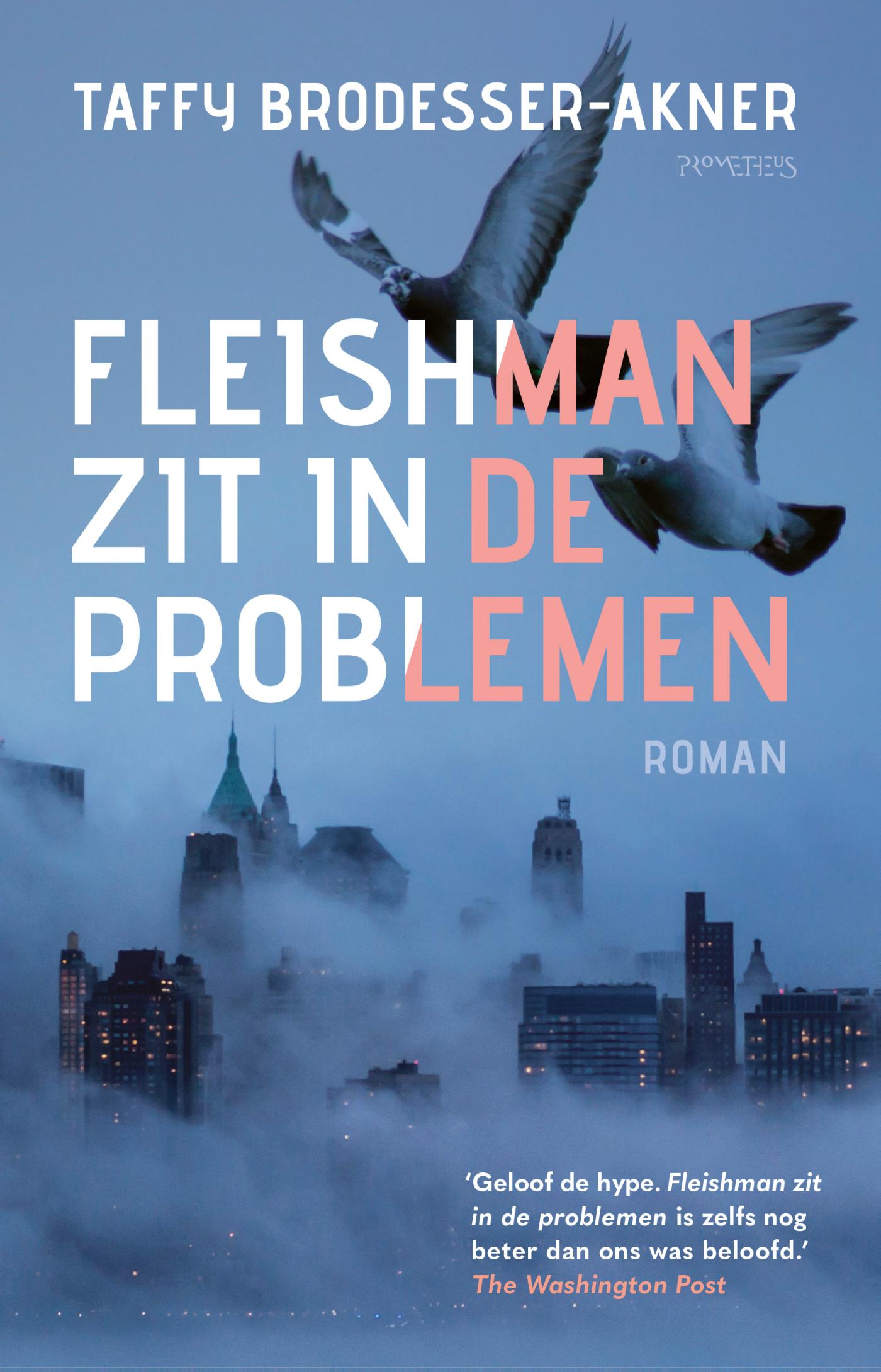 Fleishman zit in de problemen (Ebook)