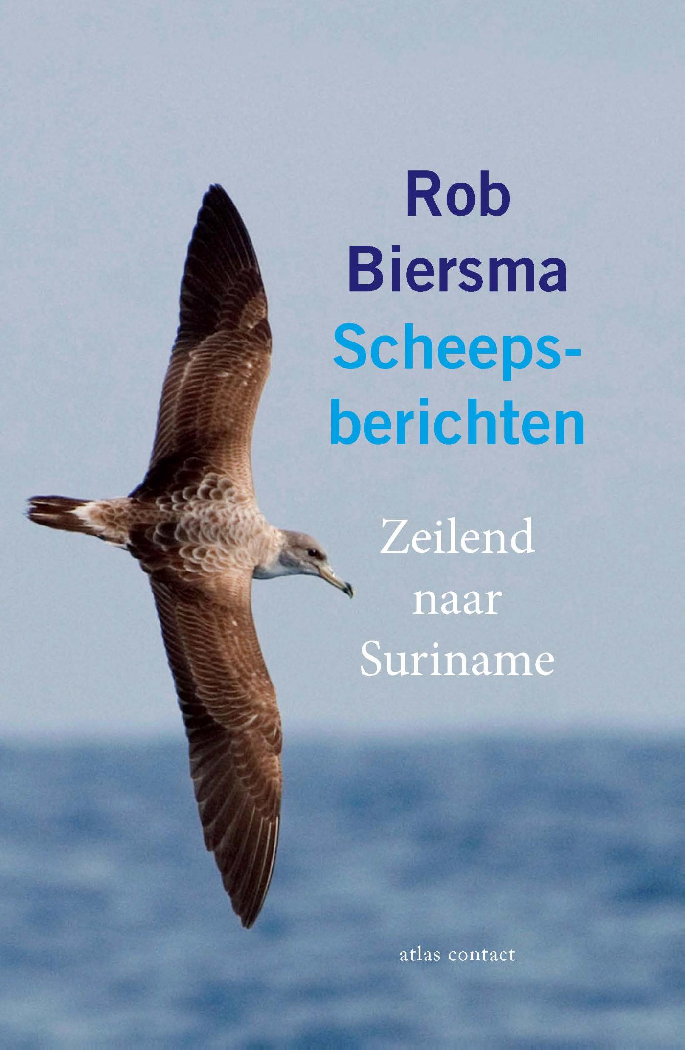 Scheepsberichten (Ebook)