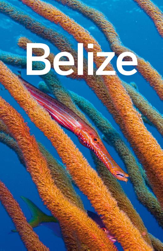 Belize (Ebook)