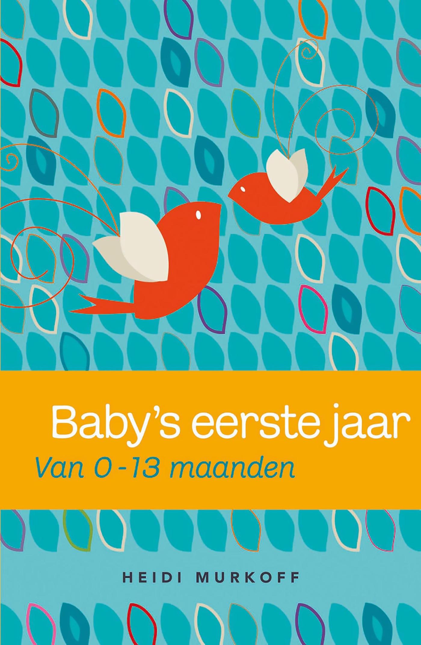 Baby's eerste jaar (Ebook)