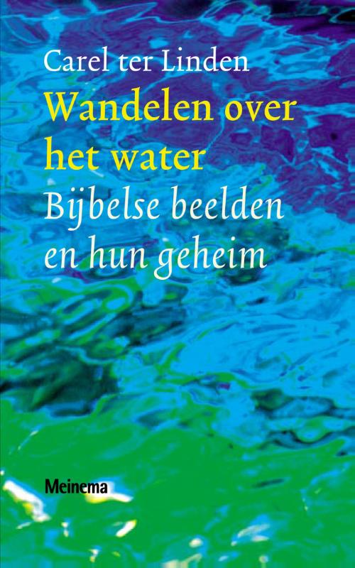 Wandelen over het water (Ebook)