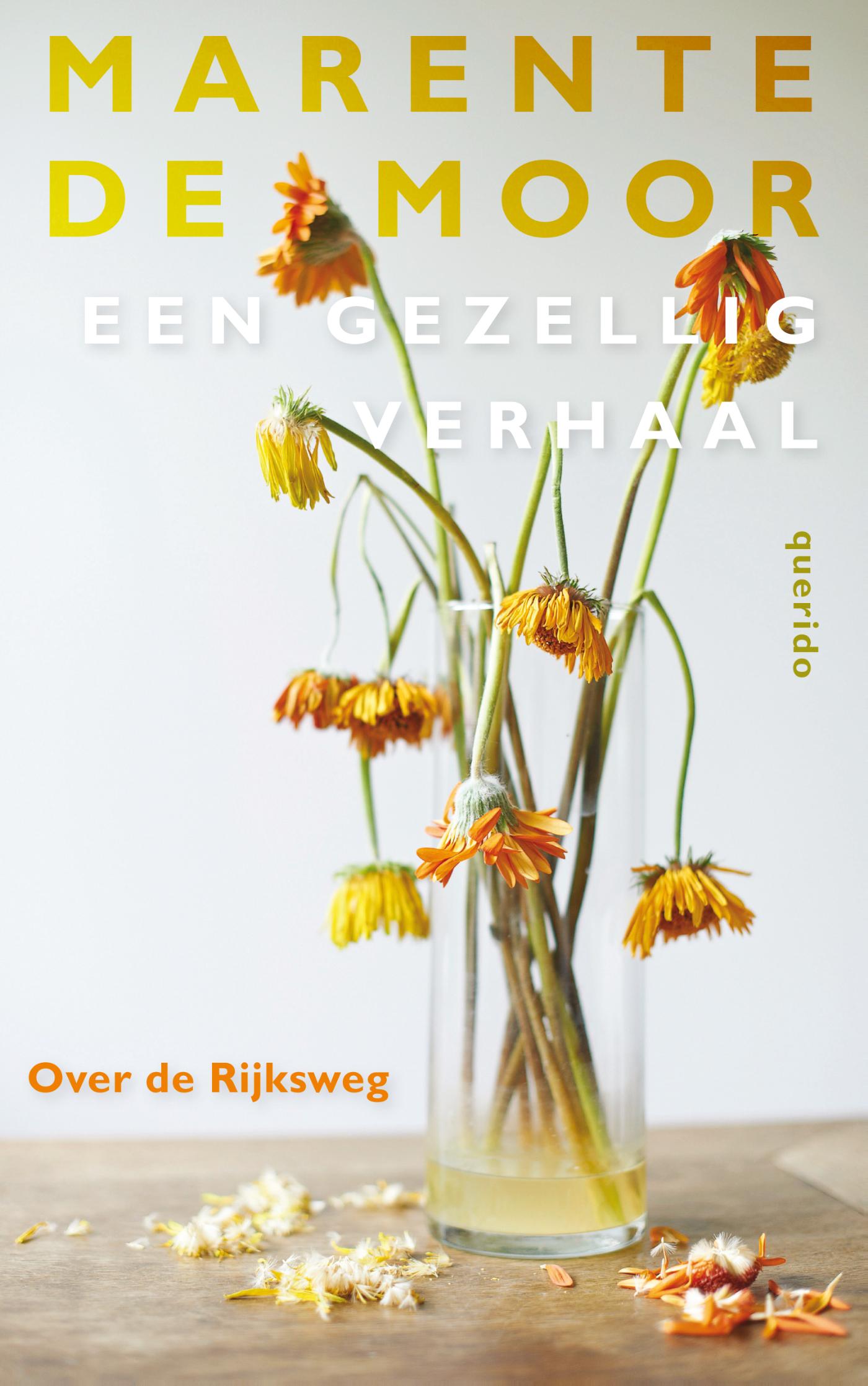 Over de Rijksweg (Ebook)