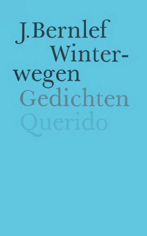 Winterwegen (Ebook)