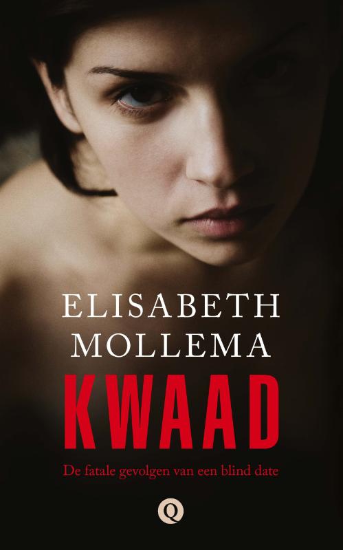 Kwaad (Ebook)