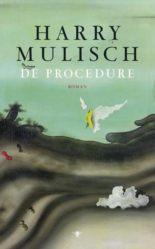 De procedure (Ebook)