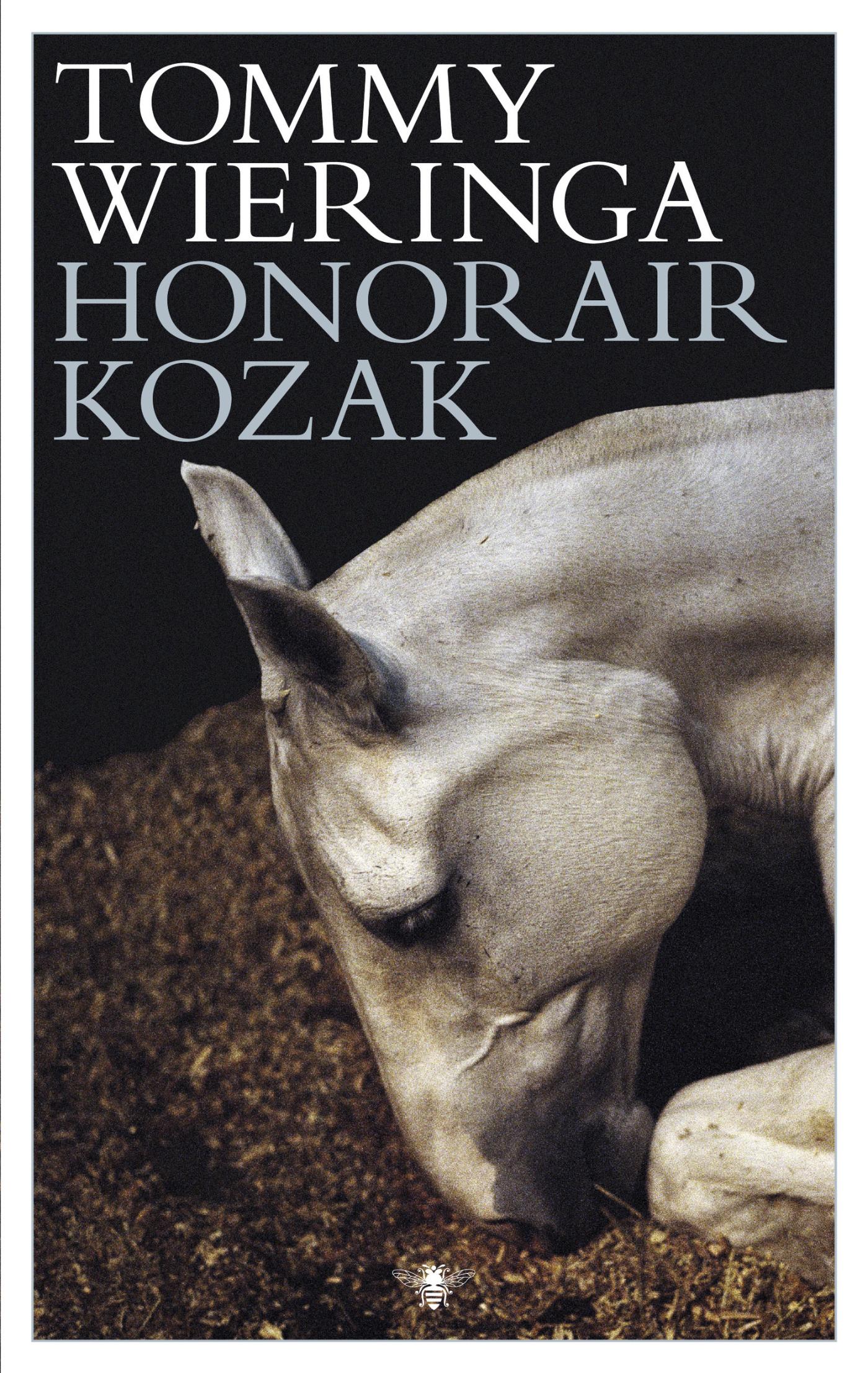 Honorair kozak (Ebook)