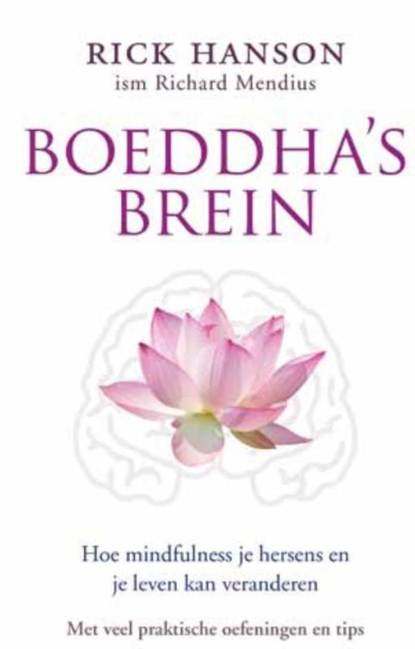 Boeddha's brein (Ebook)