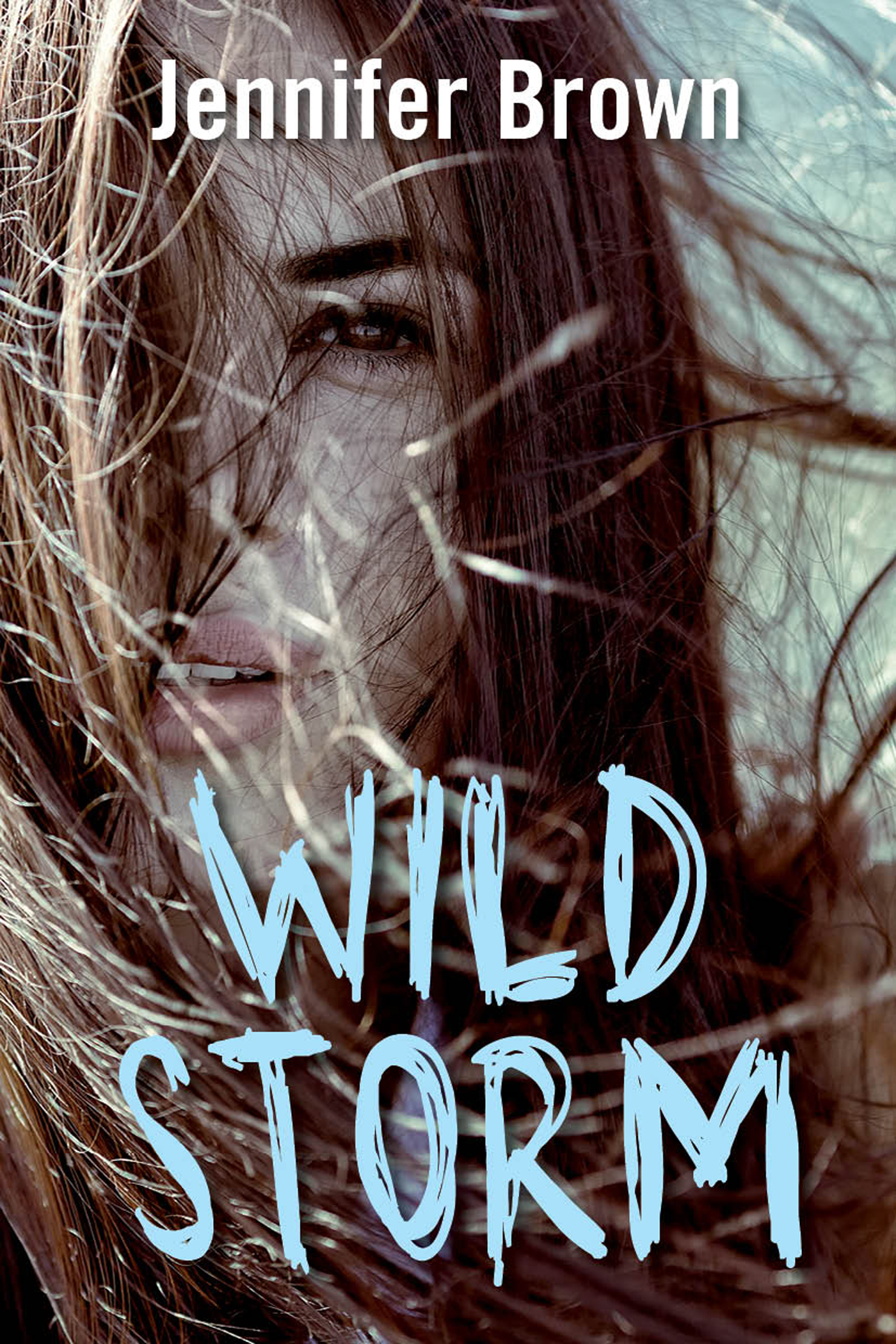 Wild storm (Ebook)
