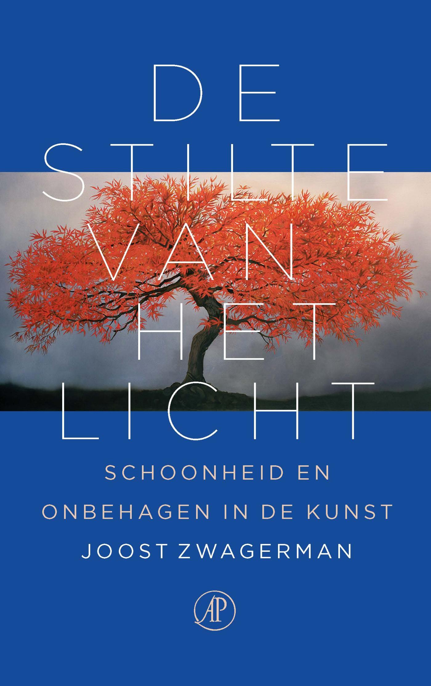 De stilte van het licht (Ebook)