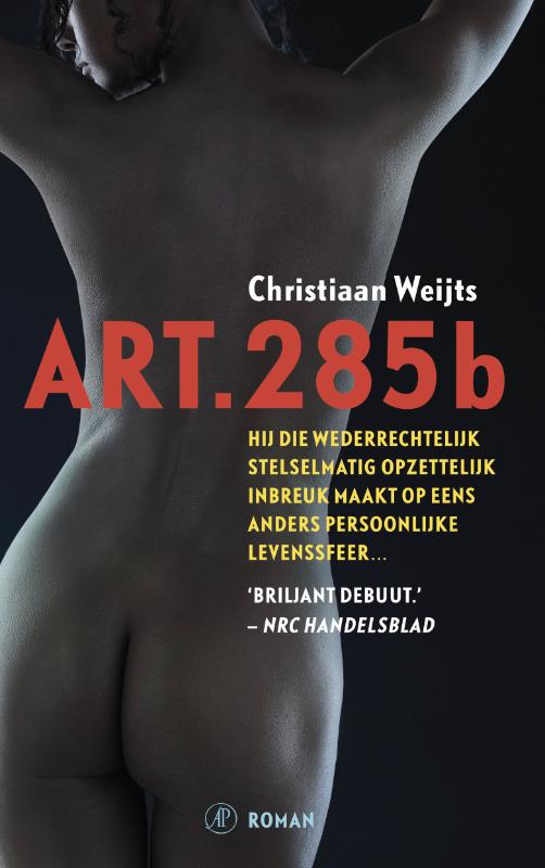 Art. 285b (Ebook)
