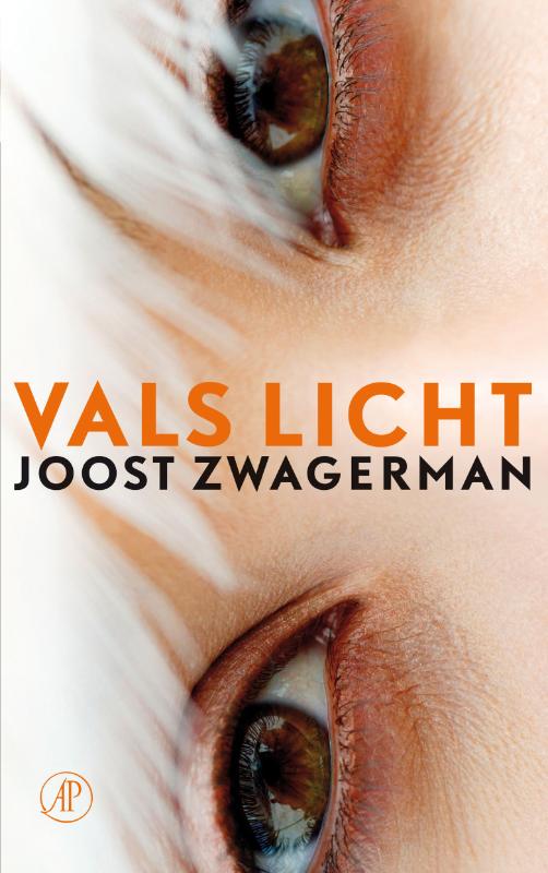 Vals Licht (Ebook)