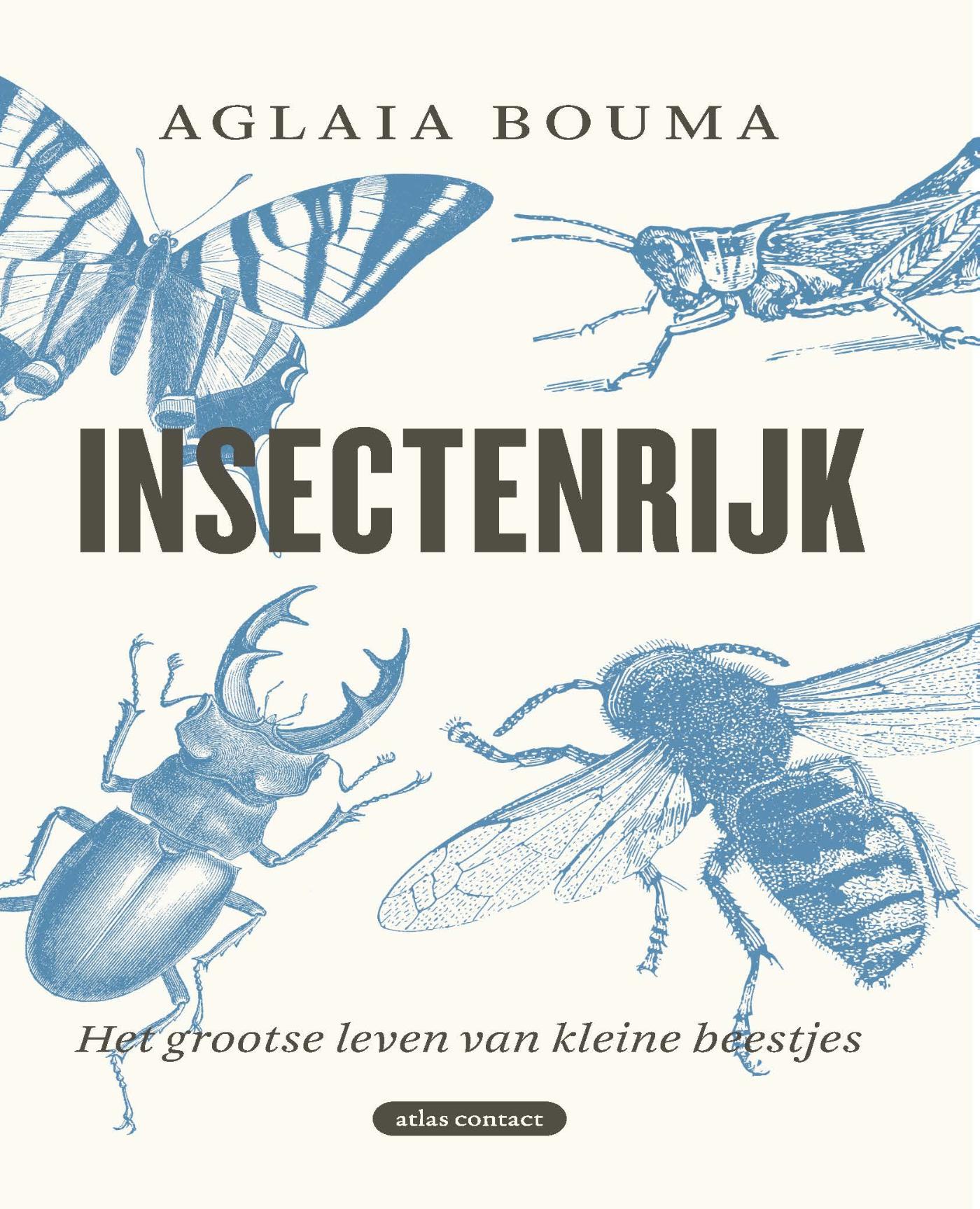Insectenrijk (Ebook)