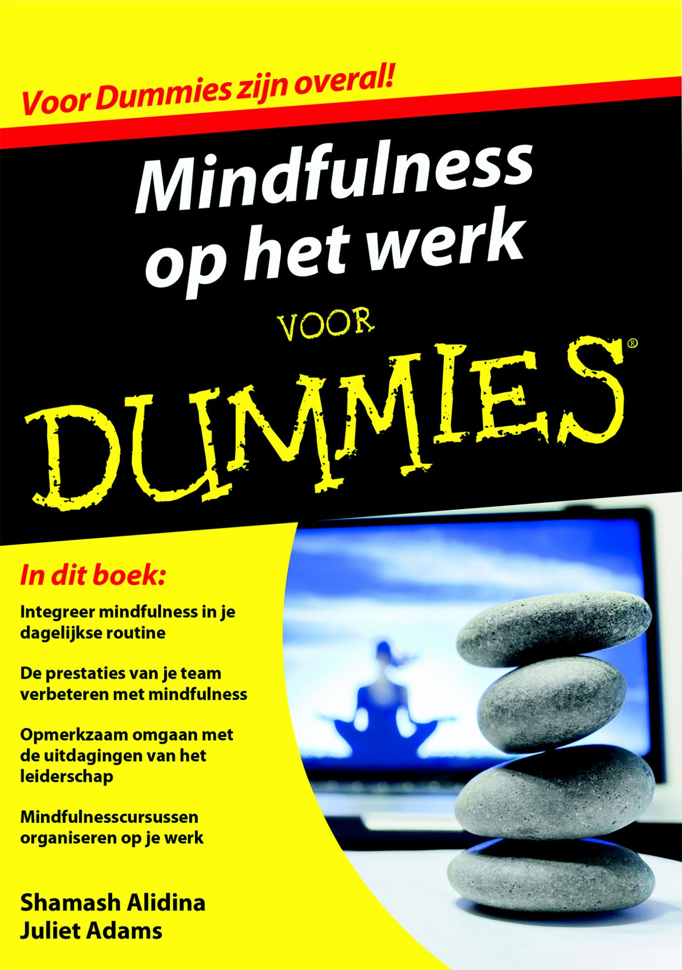 Mindfulness op het werk voor Dummies (Ebook)