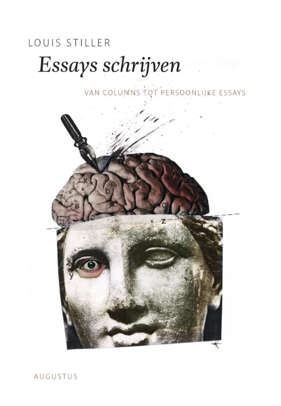 Essays schrijven (Ebook)