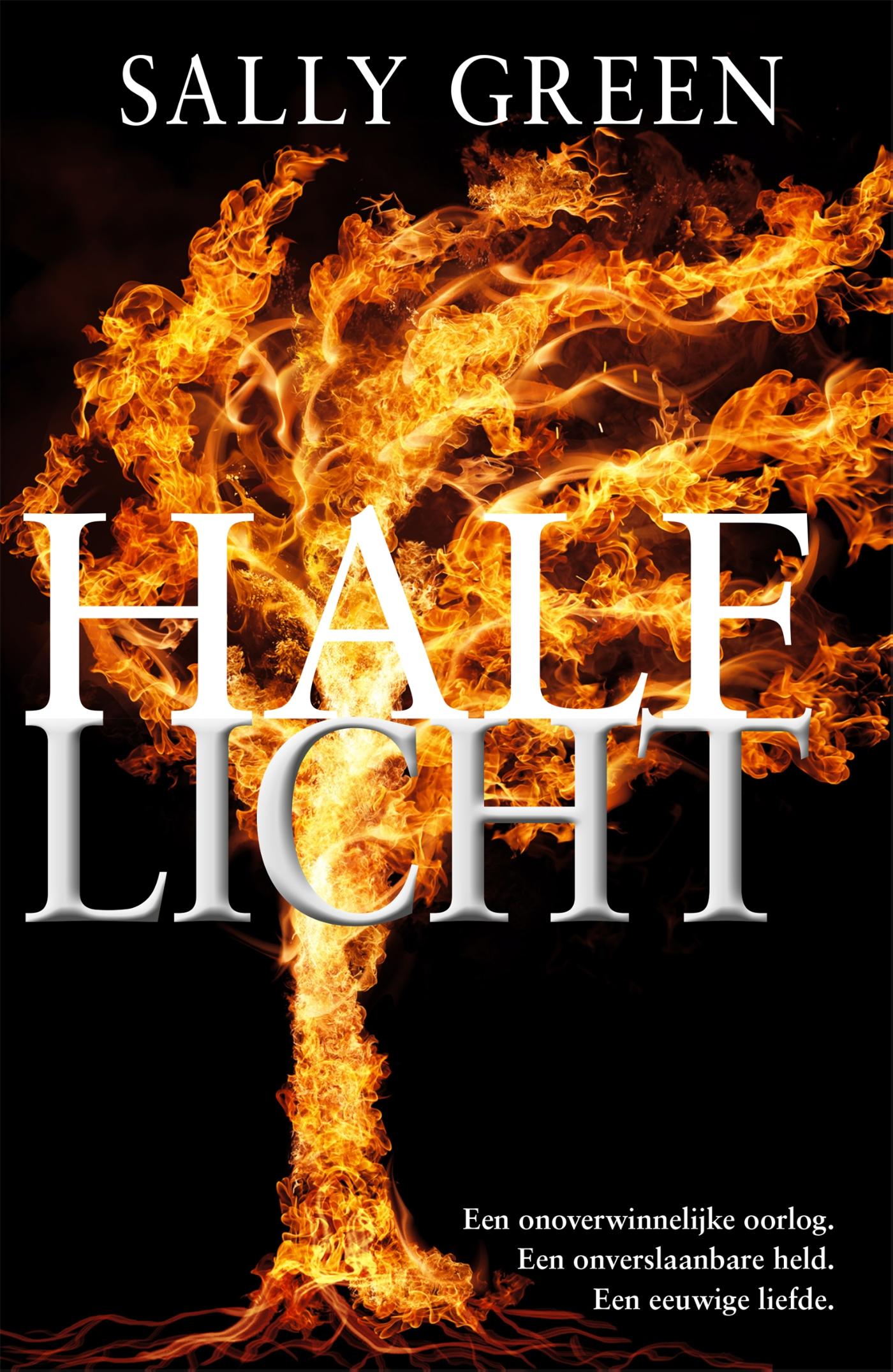 Half licht (Ebook)