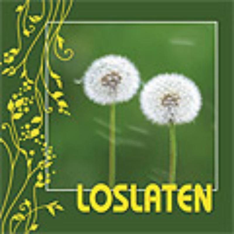 Loslaten (Ebook)