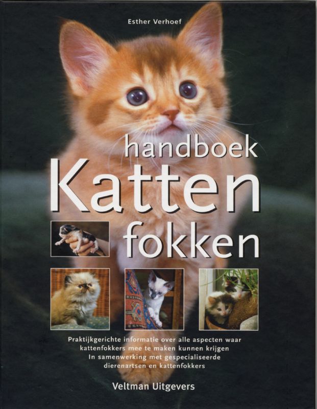 Handboek katten fokken