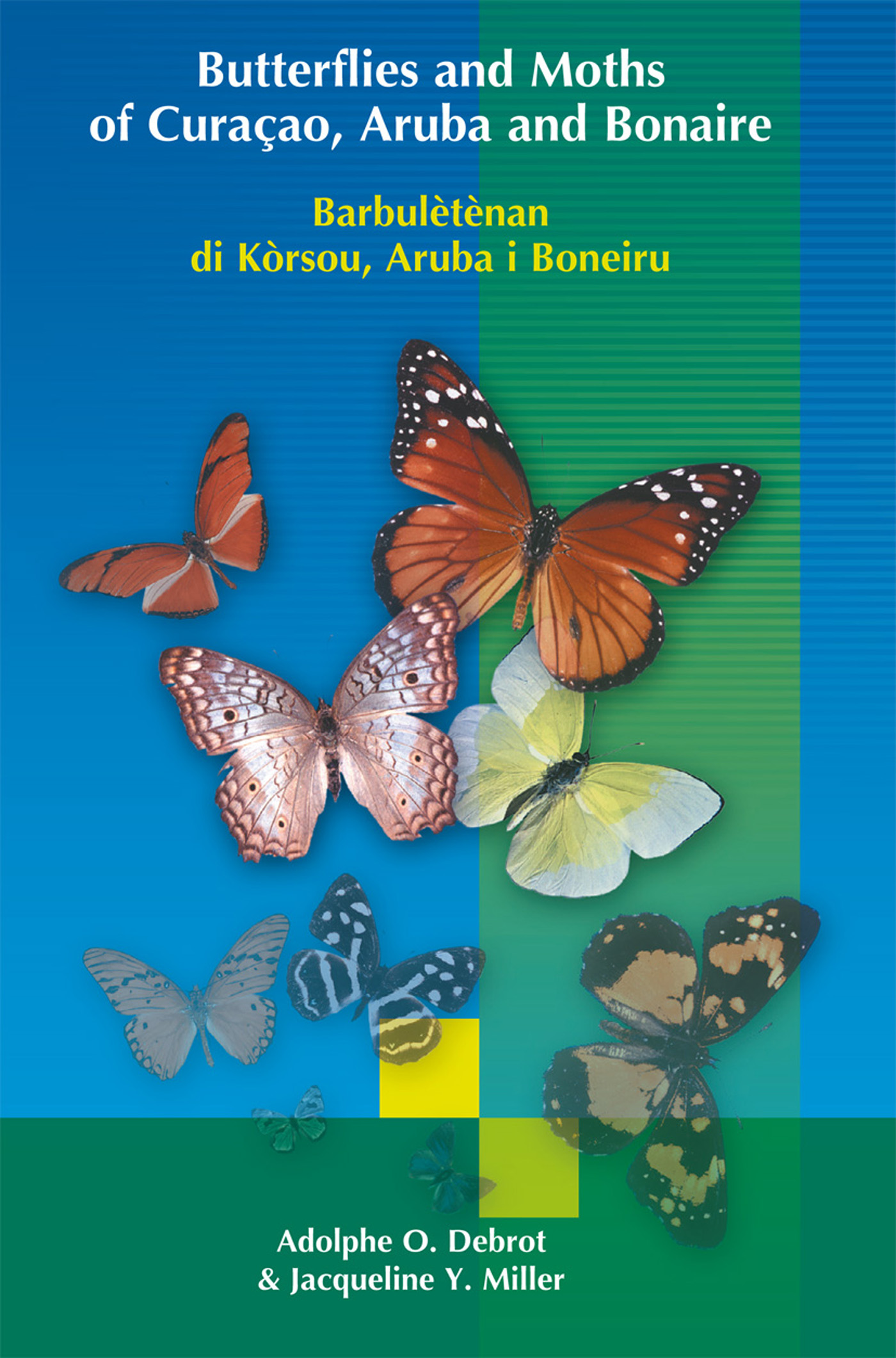 Butterflies and Moths of Curacao, Aruba and Bonaire (Ebook)