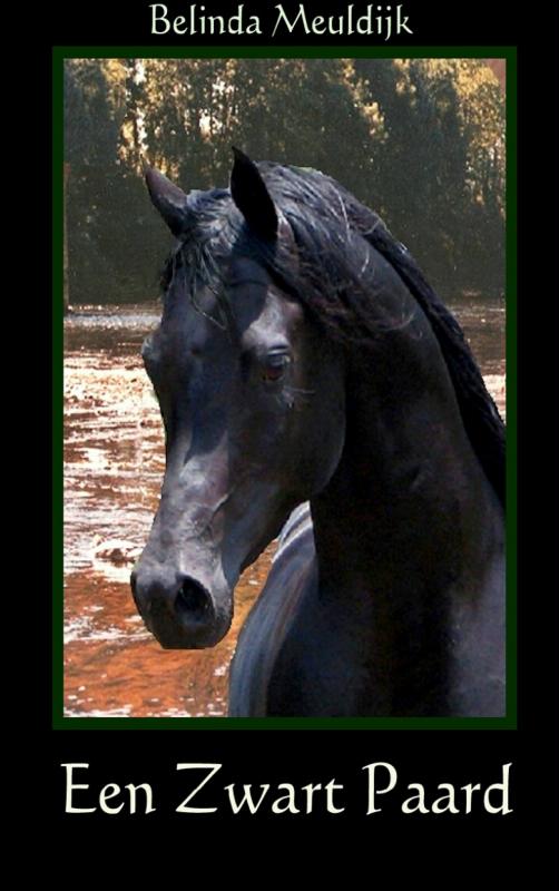 Een zwart paard (Ebook)